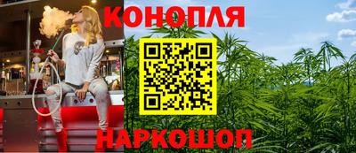 бошки Гатчина