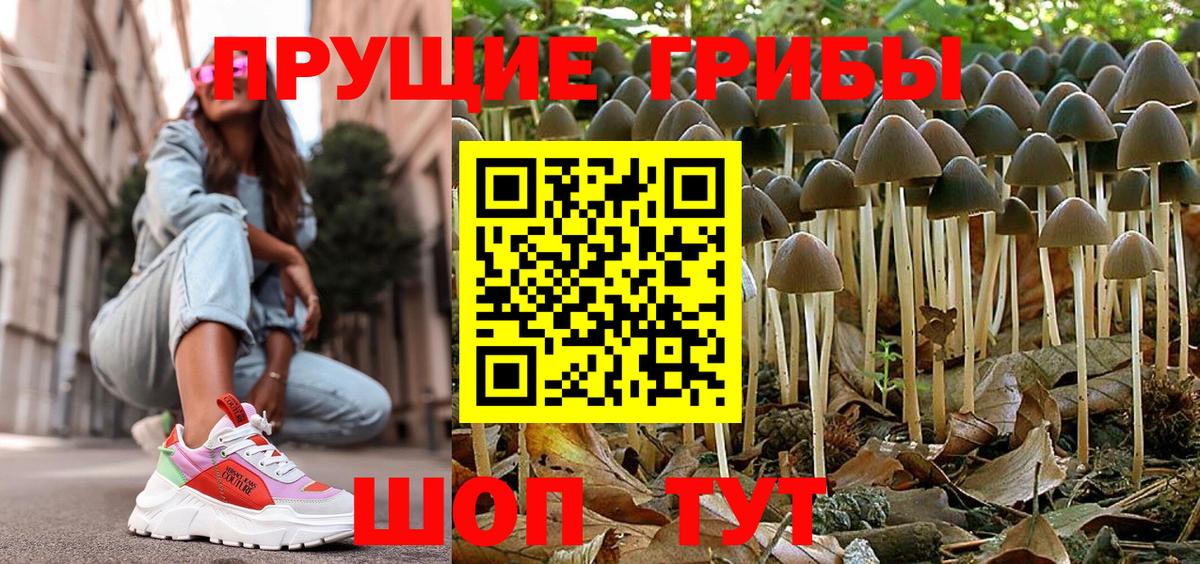 Галлюциногенные грибы Cubensis Улан-Удэ